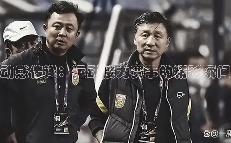 新宝gg官网登录